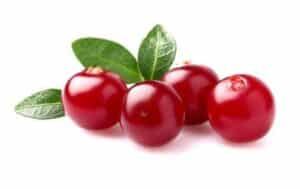 Cranberry