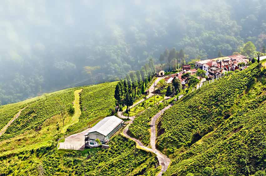 Die Ortschaft Darjeeling umgeben von Teeplantagen